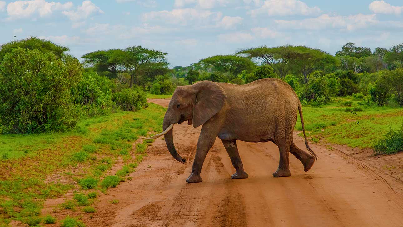 Африка през 2026 – защо travel влогърите масово снимат там и кои са най-горещите дестинации?