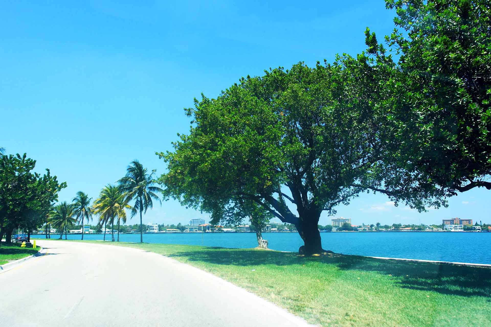 Miami To Key West – One Of The Best Weekend Road Trips In Florida | Yordan Balabanov