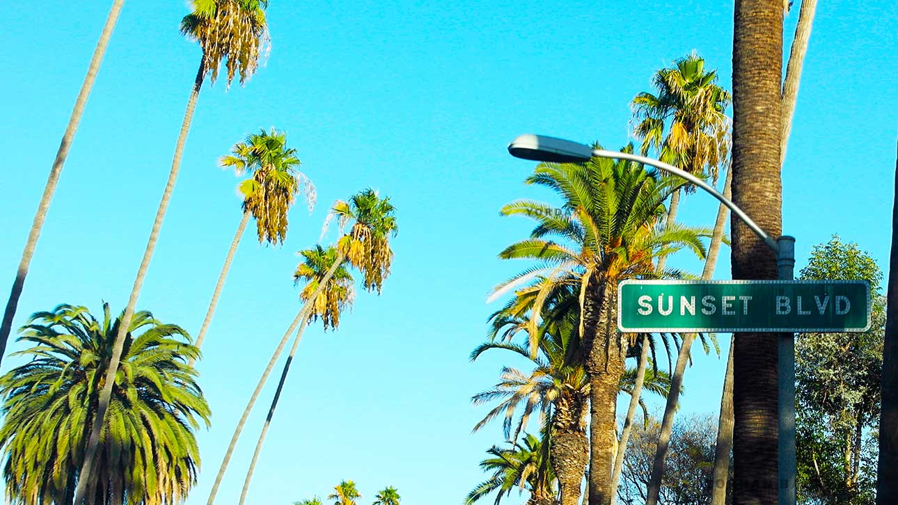 Sunset Boulevard: A Scenic Drive Through L.A.'s Iconic Strip