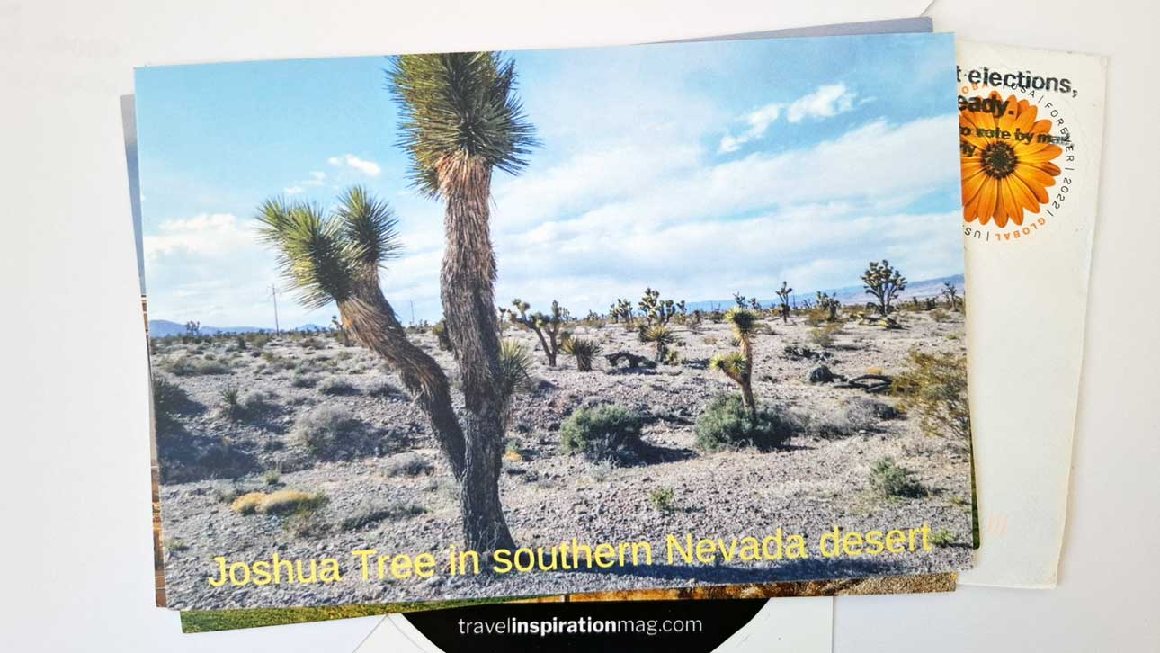 Discovering Pahrump: A Hidden Gem in the Mojave Desert