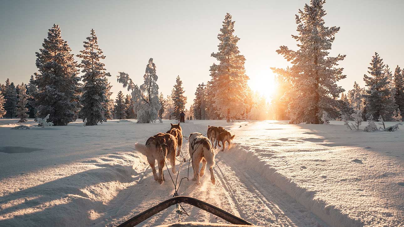 Discover Lapland: January's Winter Wonderland