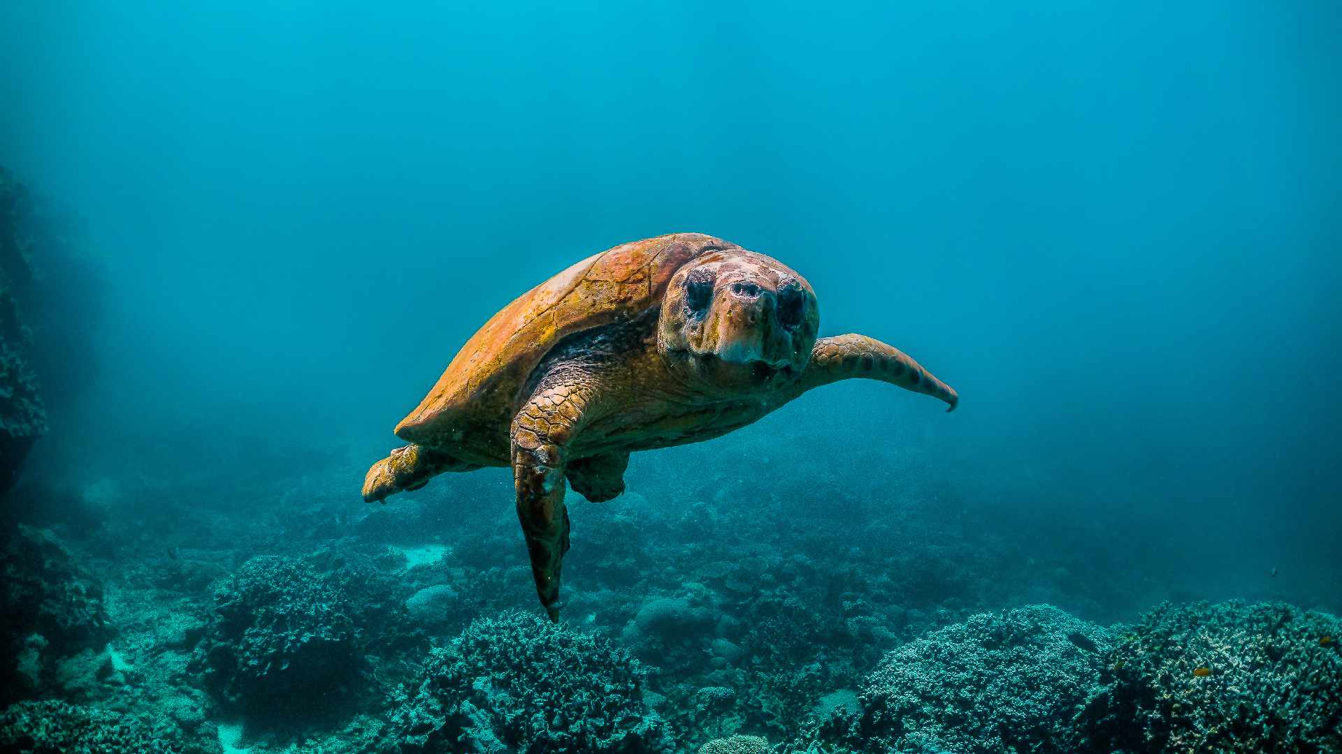 The Mystery of Panama: Why Is the Pacific Ocean Higher Than the Atlantic Ocean?