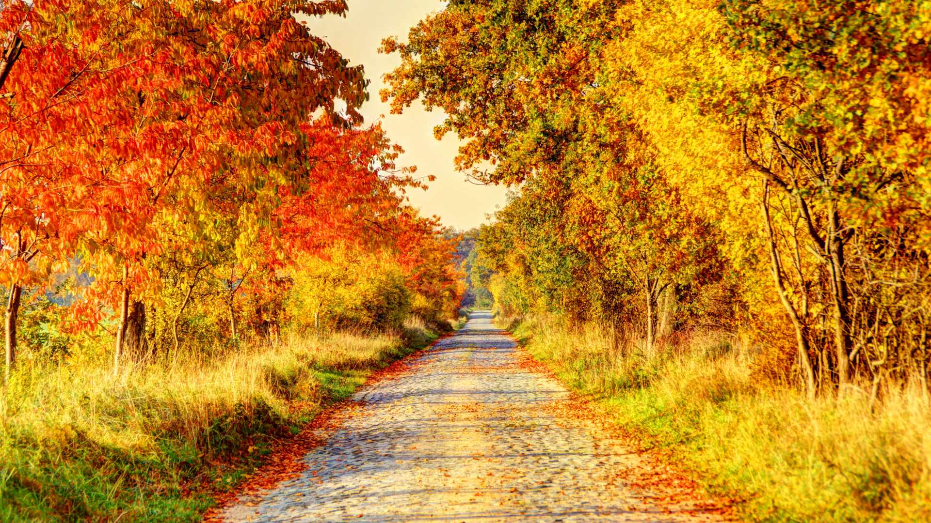 What is the biggest reason you would travel in fall instead of summer?